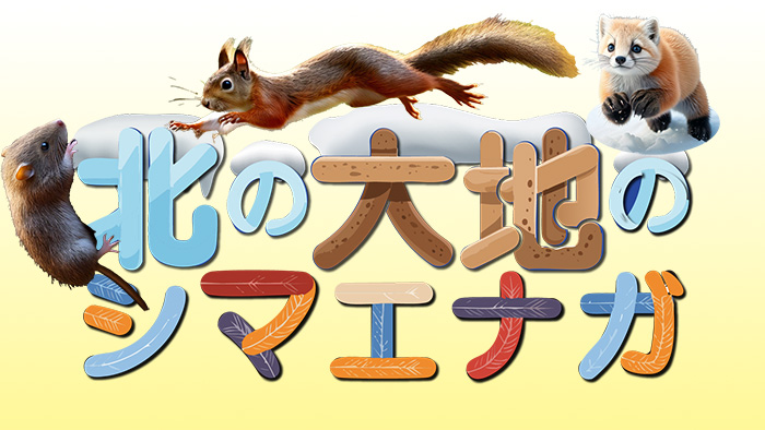 北の大地のシマエナガ4_og
